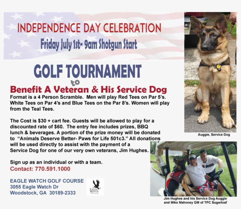 Paws For Life Golf Tournament To Help Veteran And His - Golf, transparent png #3584206