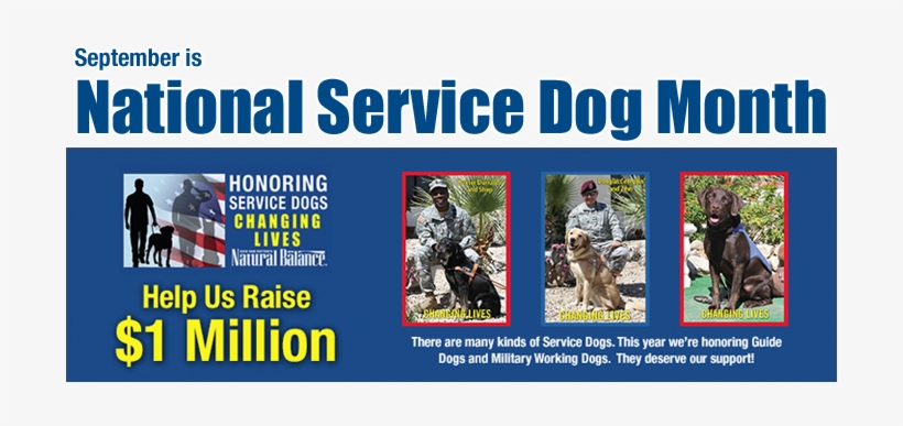 National Service Dog Month With Natural Balance - Service Tax Ready Reckoner 25th Edn 2015, transparent png #3584669