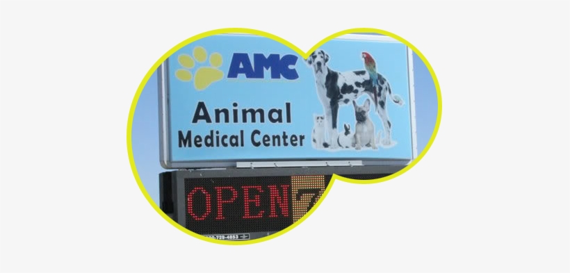 Welcome To Animal Medical Center - Group Of Pets, transparent png #3584807