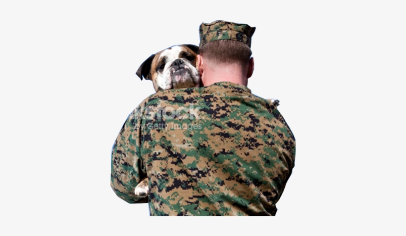 The Humane Society Of Harford County Inc - Veterans Seeing Their Family, transparent png #3584810
