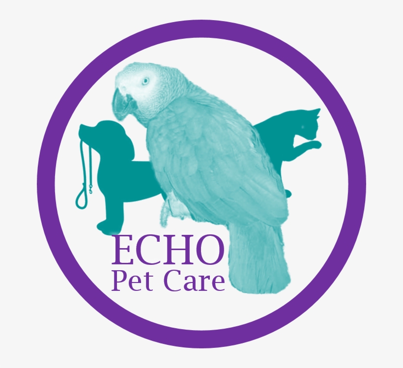 Echo Logo Png - Parakeet, transparent png #3585587