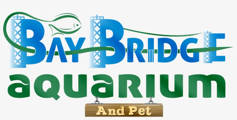 Graphic Design, transparent png #3587647