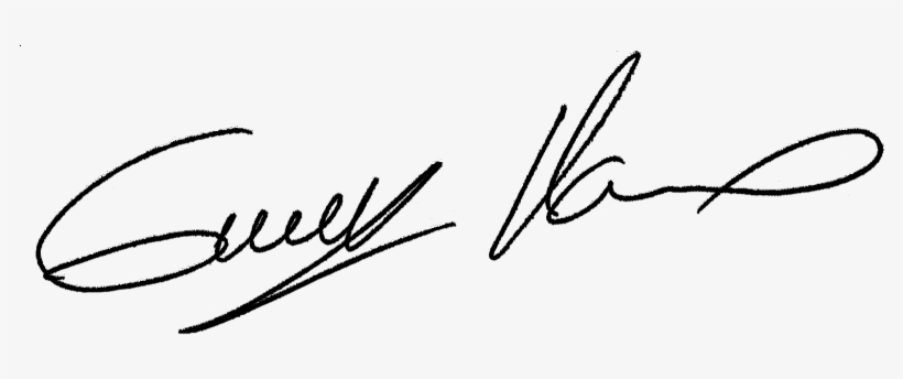 Firma Giuseppe Maranod - Giuseppe Png, transparent png #3588250