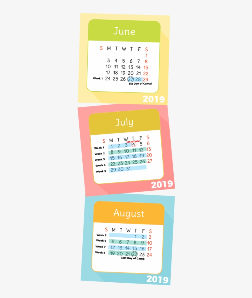 *please Note That Week 1 Will Run Over A 2 Week Period - Printing, transparent png #3589057