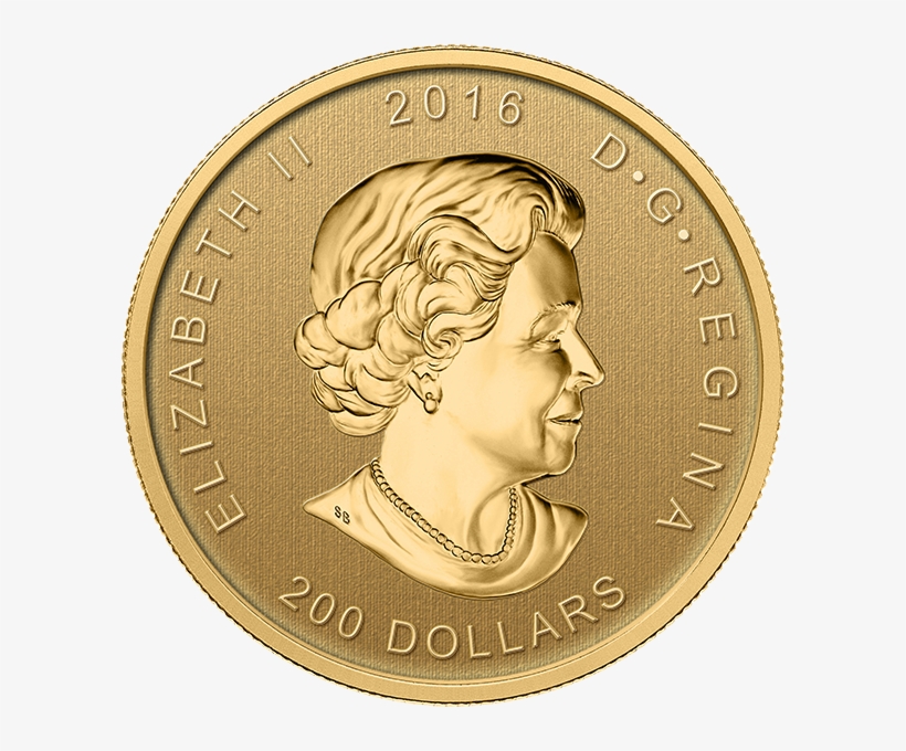 2016 "roaring Grizzly" Canadian Gold Coin, transparent png #3591129