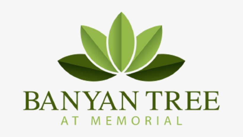 Banyan Tree At Memorial Logo - Banyan Investment Group Logo, transparent png #3591421