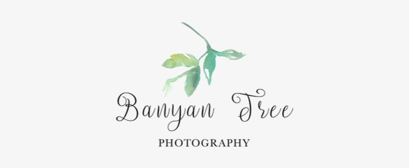 Banyan, transparent png #3591733