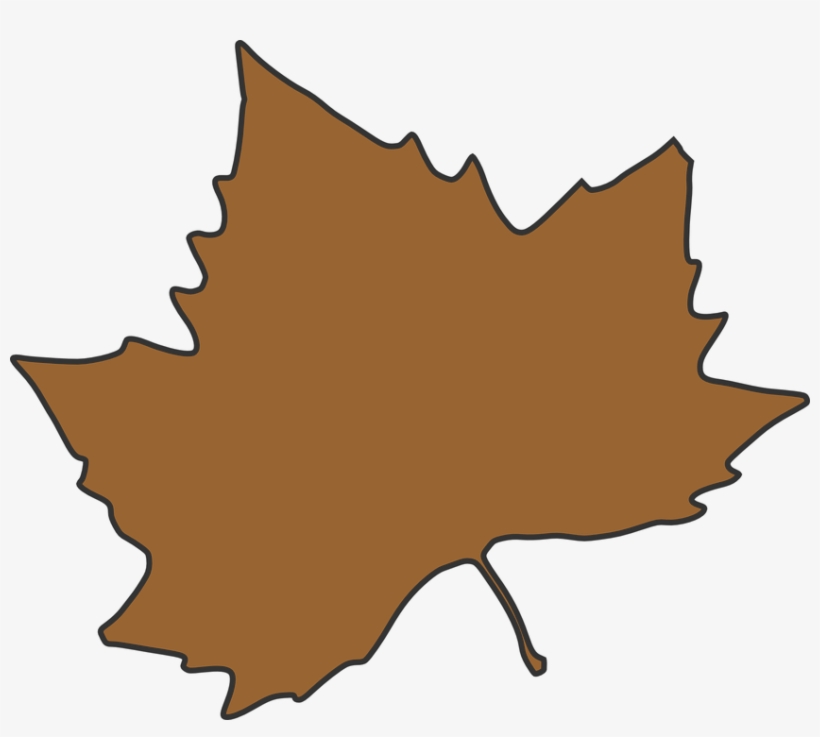 Autumn Leaf Color Clip Art - Clipart Red Maple Leaf, transparent png #3591911