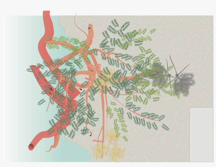 Section Plans Of The Site - Illustration, transparent png #3592008