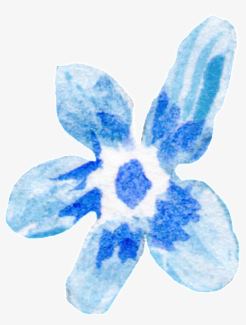 Ice Blue Flower Transparent Decorative - Mayflower, transparent png #3592161