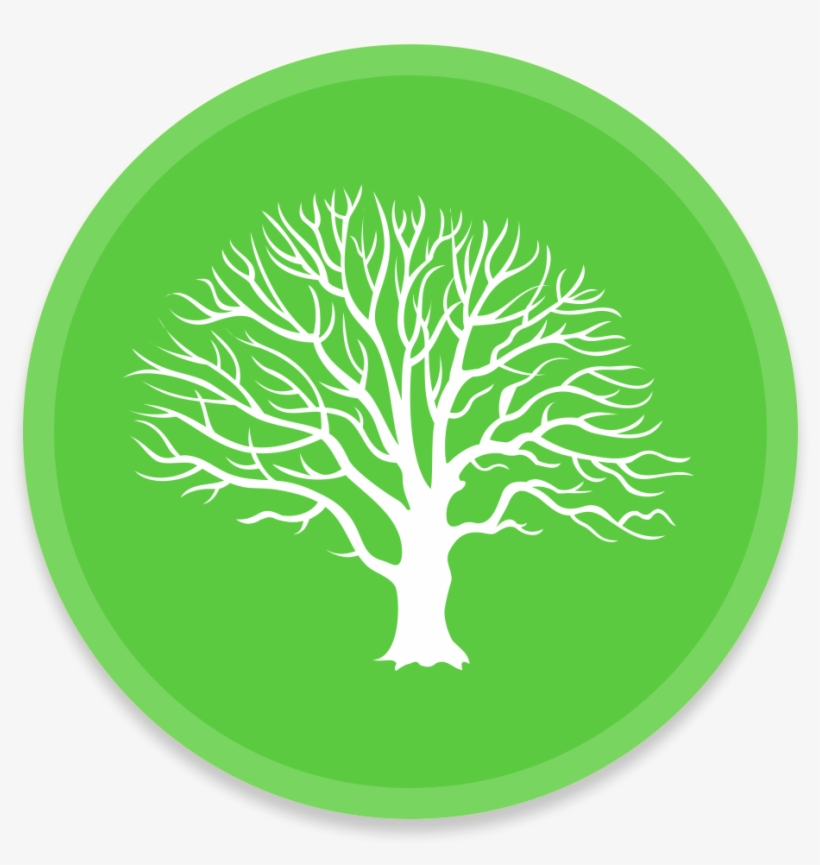 Macfamilytree Icon - Icone Arvore Png, transparent png #3592892