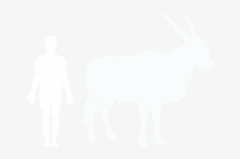 Common Eland And Human, transparent png #3594916
