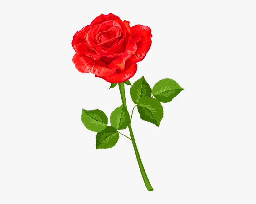 Rose Png - Ross Flower Png, transparent png #3596456