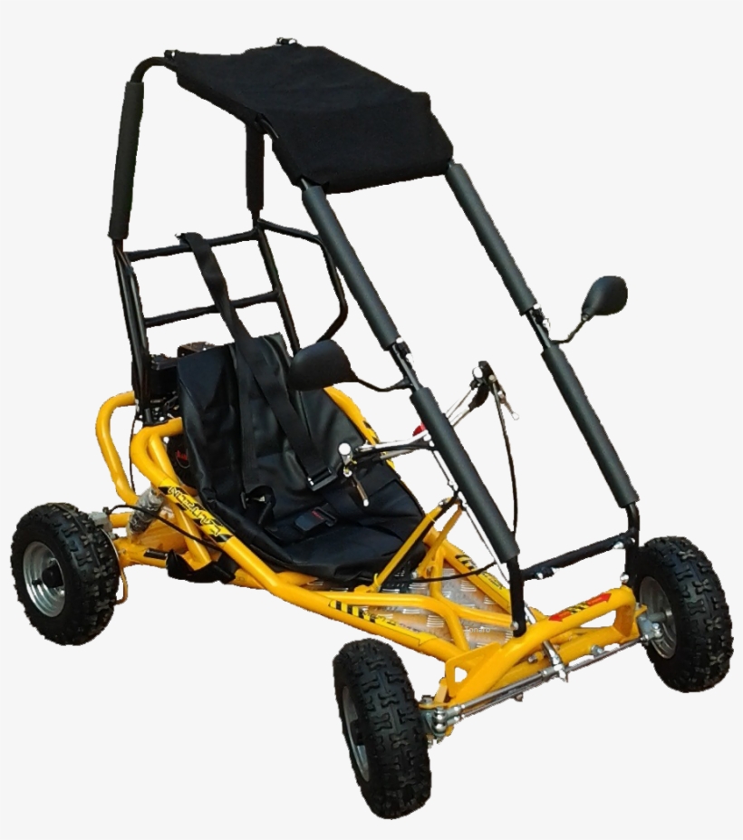 Standard Go Kart With Roll Cage - Off Road Petrol Go Karts Roll Cage, transparent png #3596698