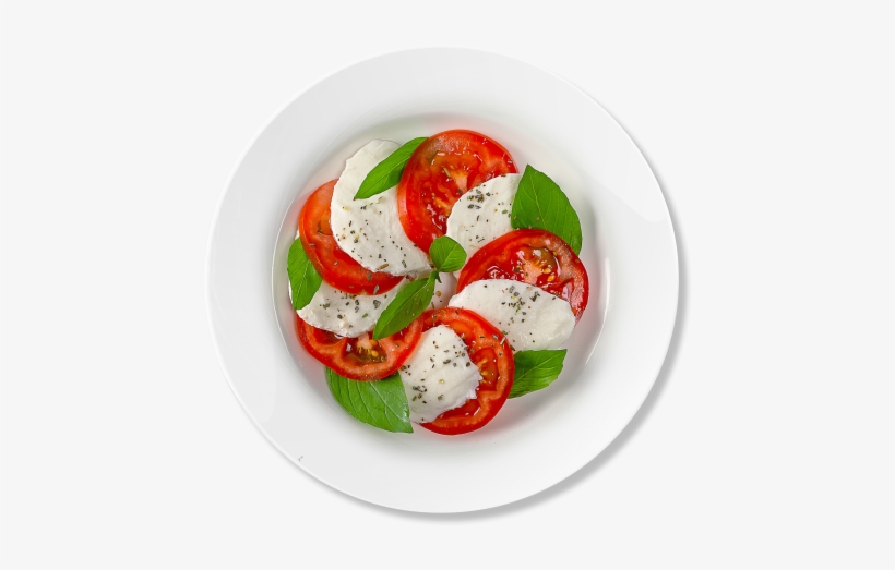 Summer Green Garden - Bulbrite My Style 9 Inch Round Plastic Lunch Plates/case, transparent png #3597319