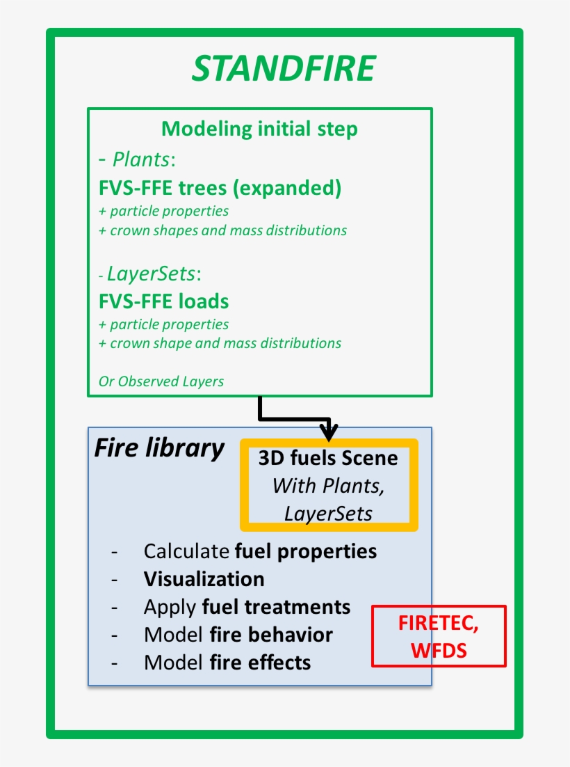 General Objectives - Penguin, transparent png #3597977