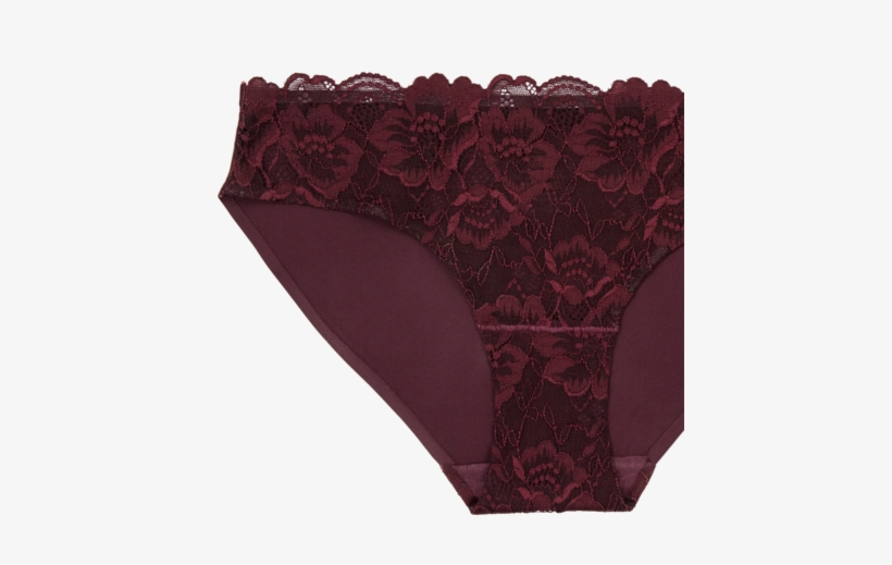 Lace Front Seamless Bikini - Panties, transparent png #3598770