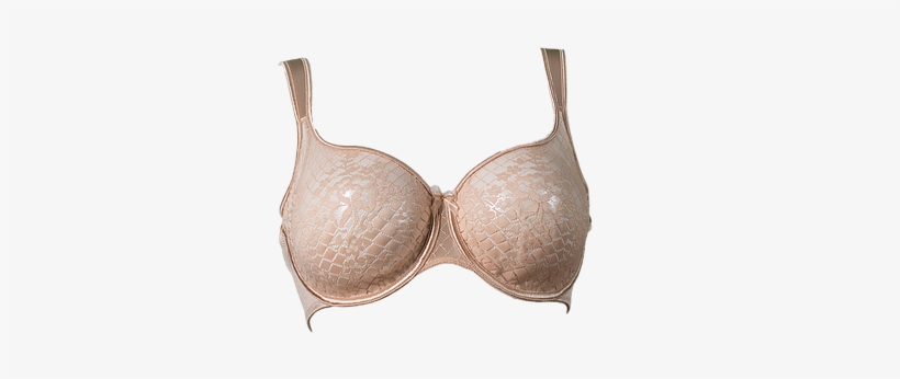 Empreinte Melody Seamless Lace Full Cup Bra - Brassiere, transparent png #3598934