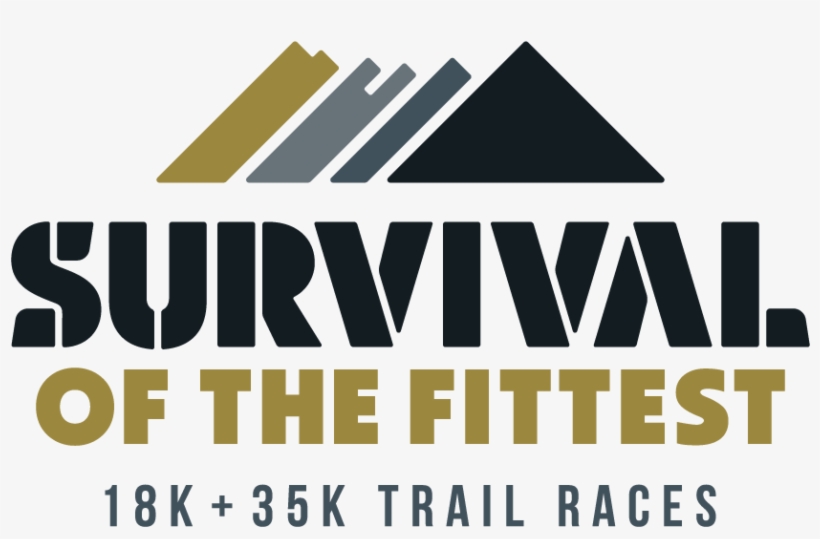 Image - Trail Running, transparent png #3599135