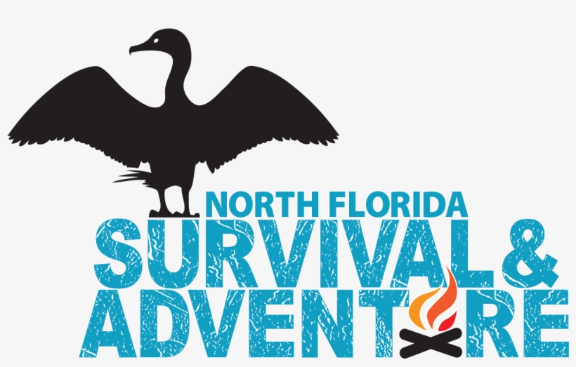 North Florida Survival - Water Bird, transparent png #3599194