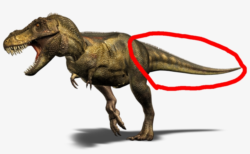 Spoiler - Dinosaur Png, transparent png #360052