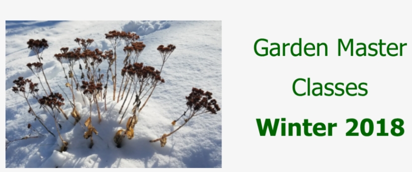 Garden Master Class Catalog Winter 2018 - Snow, transparent png #360272