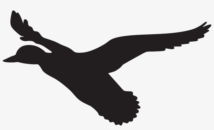 Flying Duck Cliparts - Flying Ducks Silhouette Png, transparent png #360864