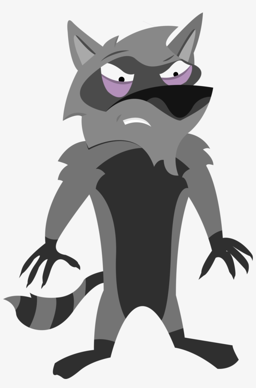 Raccoon, transparent png #360991