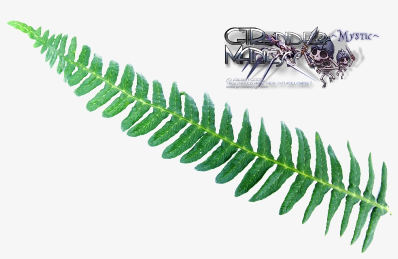 Liked Like Share - Clip Art, transparent png #361606