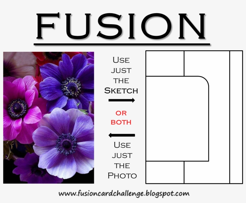 I Used Pti Botanical Blocks And Various Copics - Flower, transparent png #361665