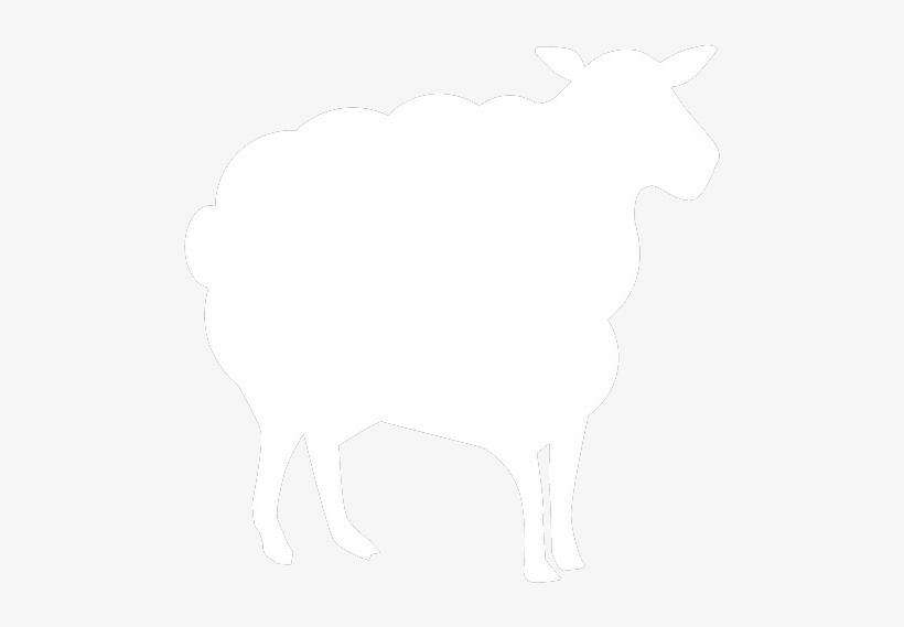 White Sheep Png Download - Black Sheep Van, transparent png #361716