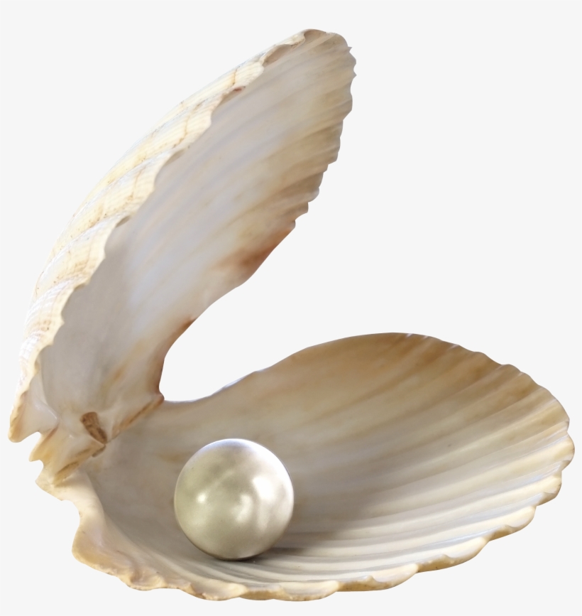 Pearls Of Wisdom: 30 Inspirational Ideas To Live Your, transparent png #361780