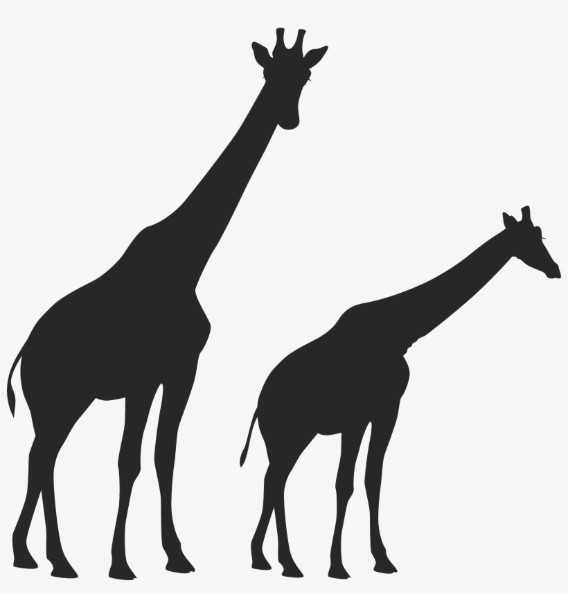 Image Freeuse Huge Freebie Download For - Transparent Giraffe Silhouette, transparent png #361888