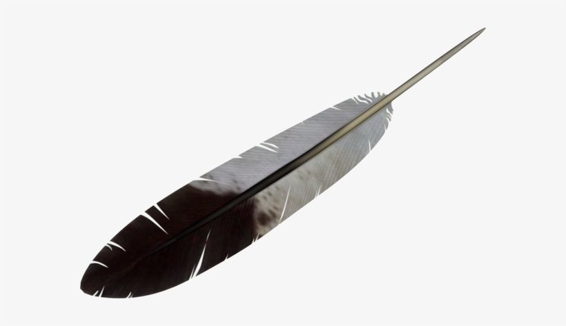 Download - Transparent Background Feather Clipart, transparent png #361910