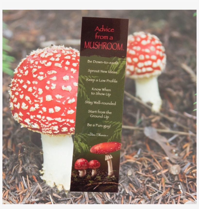 Advice From A Mushroom Bookmark - Toadstool Mushroom, transparent png #362194