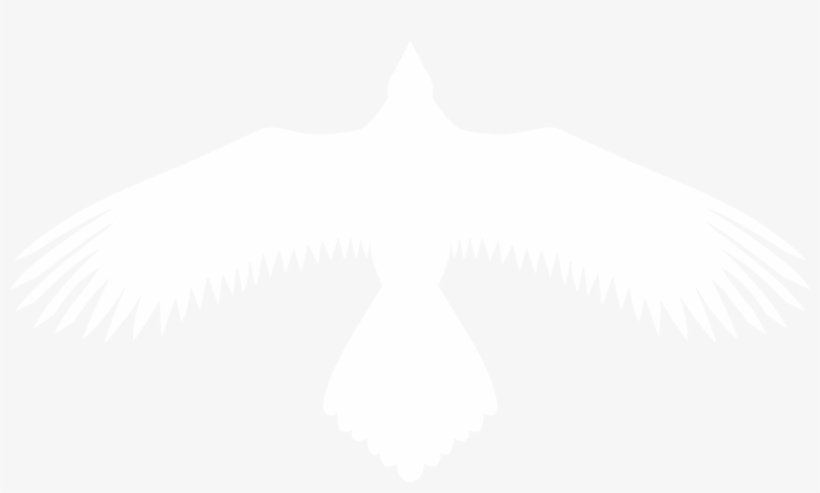 Graphic Royalty Free Home - Transparent White Raven, transparent png #362634