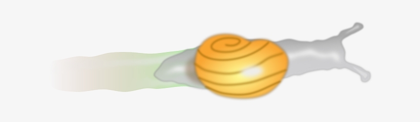 Snail, Shell, Trail, Moving, Slow, Slime - Snail, transparent png #362948