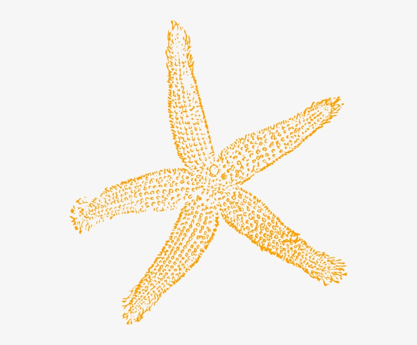 Best Free Images Clipart Starfish - Fish Clip Art, transparent png #363762