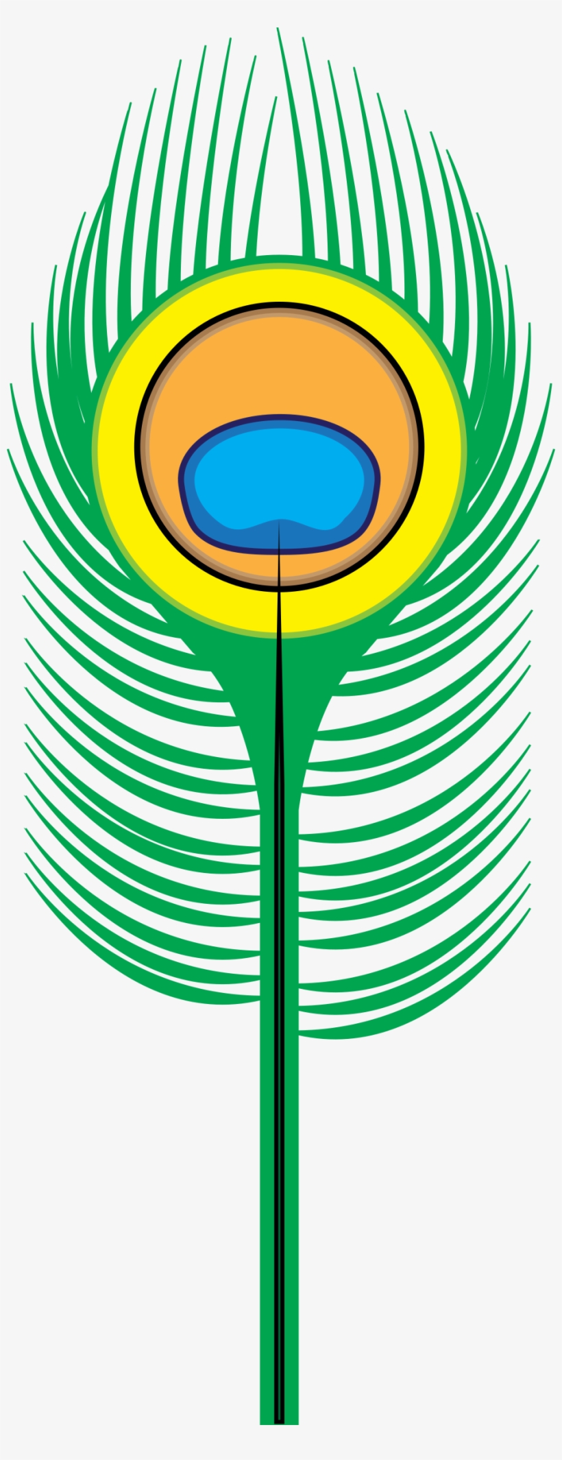 How To Set Use Peacock Feather Clipart, transparent png #364415