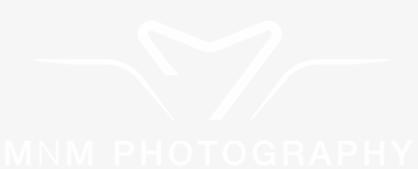 Indian Wedding Photographers In Houston - Nagarjuna, transparent png #364589