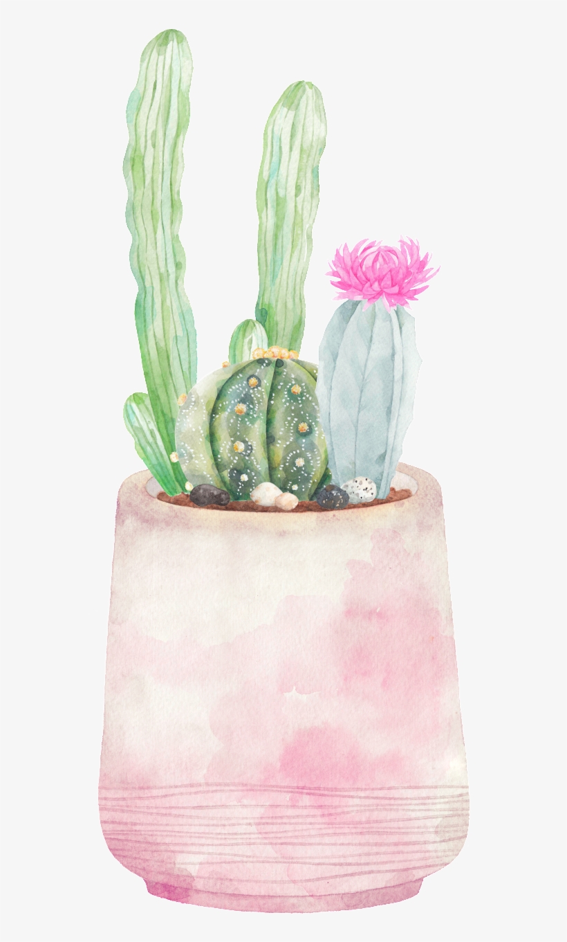 Hand-painted Three Varieties Of Cactus Png Transparent - Cactus, transparent png #364739