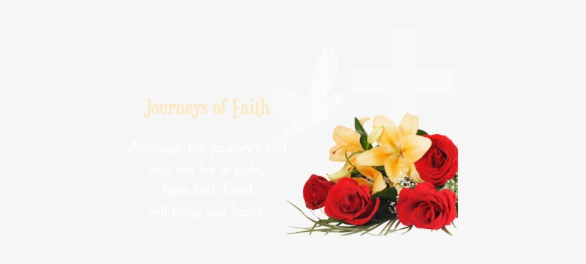Journeys Of Faith Png - Eryn Grace, transparent png #365642