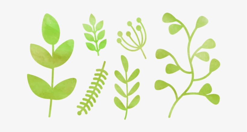 Free Vector Free Watercolor Natural Elements - Watercolor Painting, transparent png #365905