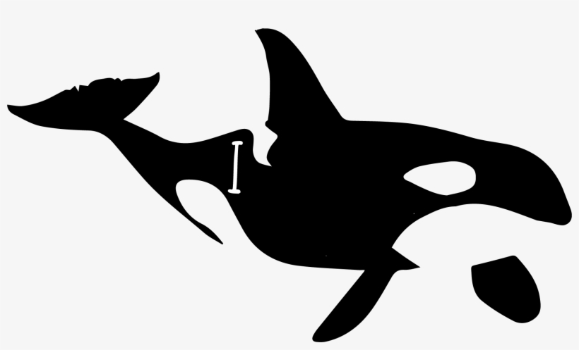 Sperm Whale Clipart Regular - Killer Whale, transparent png #365906