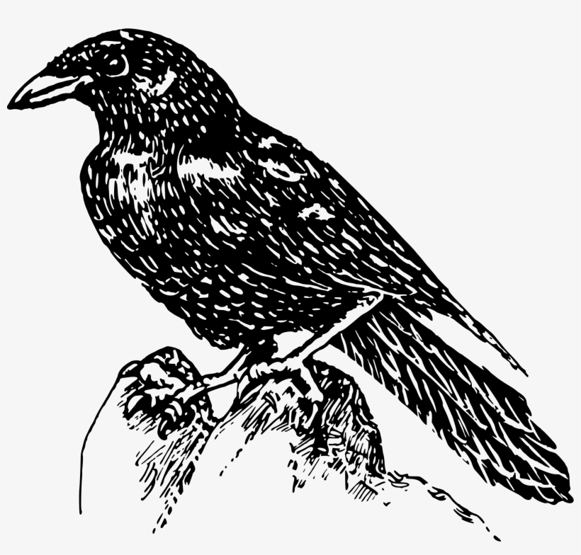 This Free Icons Png Design Of Raven 2, transparent png #365923
