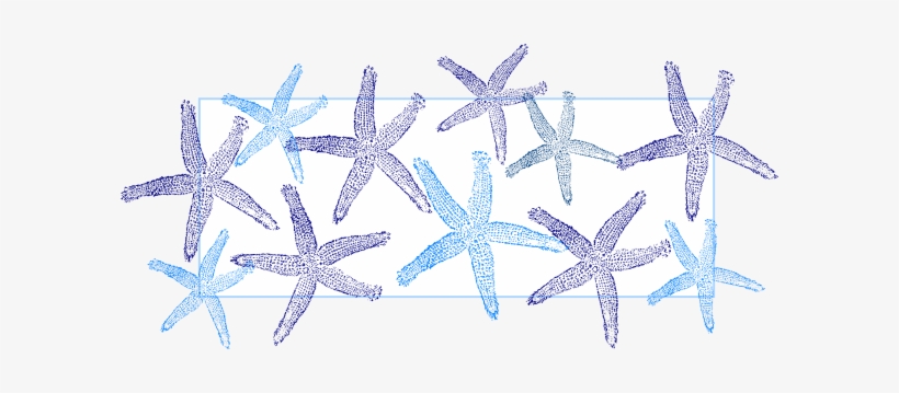 Download Blue Starfish Svg Clip Arts 600 X 279 Px Free Transparent Png Download Pngkey