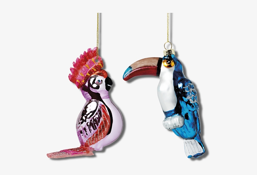 Gift Card, transparent png #366951