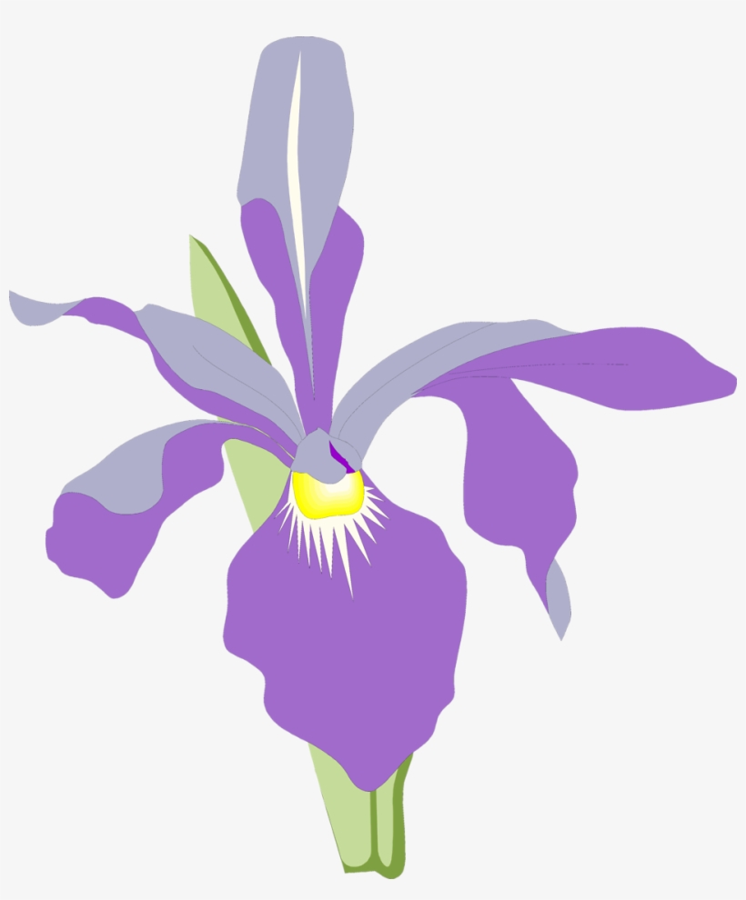 Orchid Free Stock Photo Illustration Of A Purple Orchid - Orchid Flower Vector Png, transparent png #367417