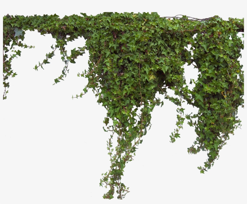 Go To Image File - Green On Wall Png, transparent png #367850