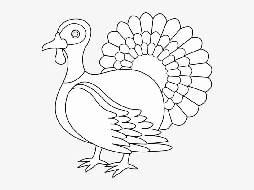 Turkey Line Art - Turkey Clipart Black And White, transparent png #368158